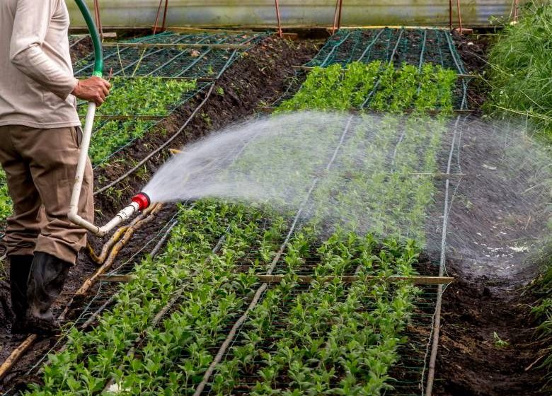  Fenómeno del Niño: ¿cómo busca el agro adelantarse a los impactos?