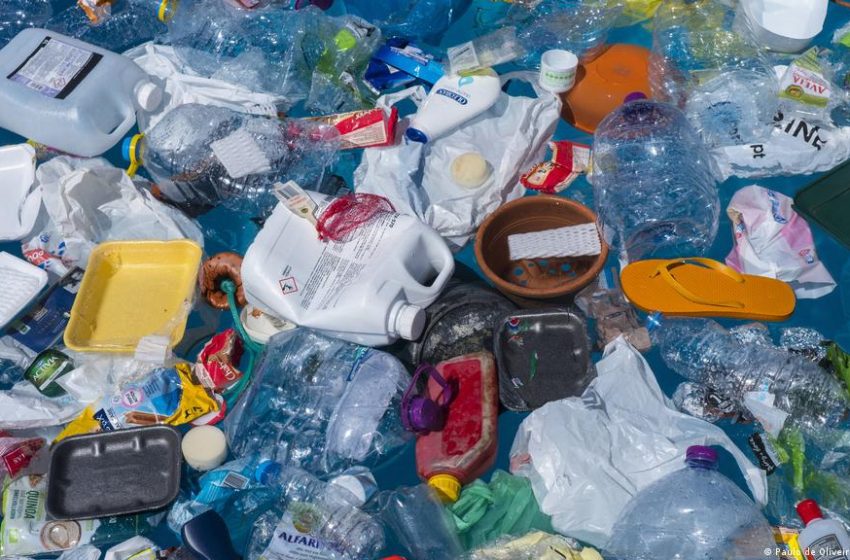  El “continente de plástico” del Pacífico es tan vasto que criaturas marinas lo han convertido en su hogar