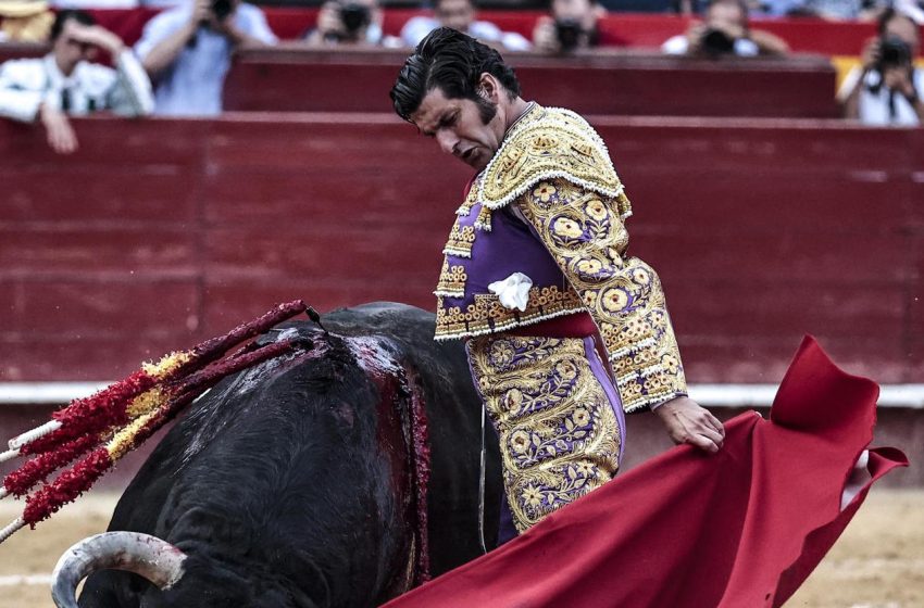  Se hundió proyecto que prohibía corridas de toros, peleas de gallo y corralejas en Colombia