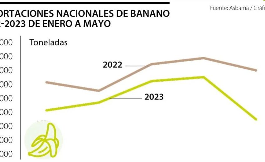  SECTOR BANANERO DEL CARIBE SE POSICIONA CON 50% DEL MERCADO DE EXPORTACIÓN NACIONAL