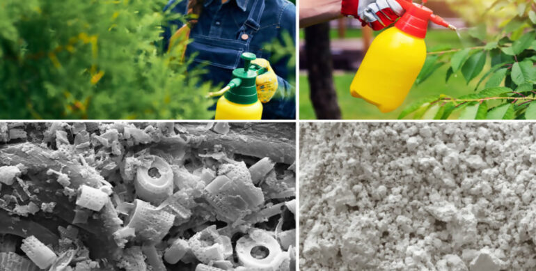  Que es la tierra de diatomeas, usos, beneficios y aplicaciones