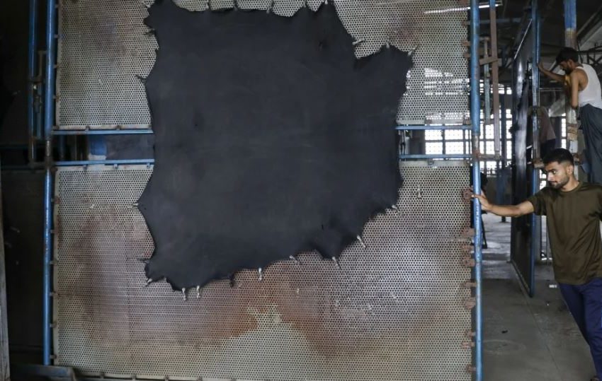  CREAN CUERO NATURAL A PARTIR DE BORRA DE CAFÉ Y ALMIDÓN DE YUCA PARA REDUCIR EMISIONES