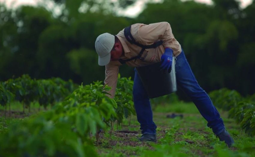  CONSEJOS DEL PROFESOR YARUMO: ACCIONES PREVENTIVAS PARA AFRONTAR EL FENÓMENO DE EL NIÑO