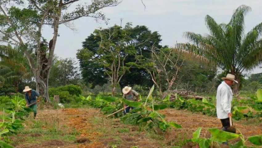  BIO-AGRO-ENERGÉTICO, UN PROYECTO QUE COMBINA ENERGÍA FOTOVOLTAICA CON AGRICULTURA