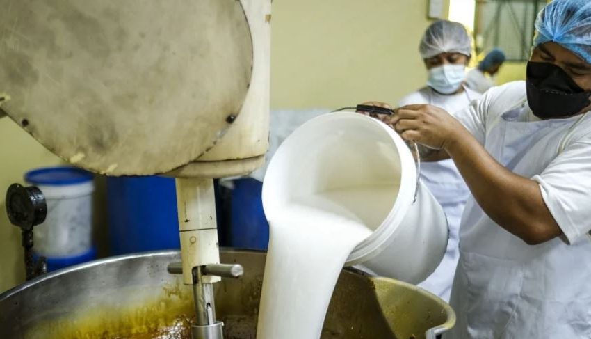  APROLECHO, LA ASOCIACIÓN DE PRODUCTORES DE LECHE QUE PRODUCE 20.000 LITROS DIARIOS