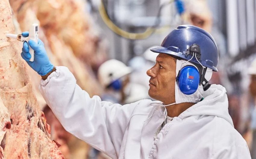  “Las plantas de Bucaramanga y Ciénaga de Oro ampliarán nuestra exposición a China”