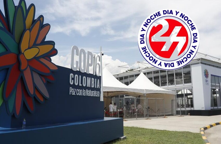  LA COP 16 EN COLOMBIA